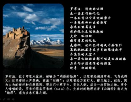 《繁花》里人人都讨厌的她，我却很欣赏